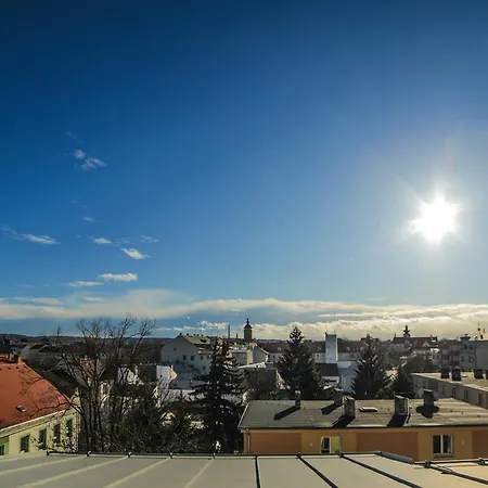 Apartman Holeckova 아파트
