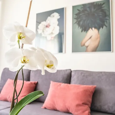 Apartman Holeckova 아파트