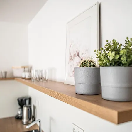 아파트 Apartman Holeckova